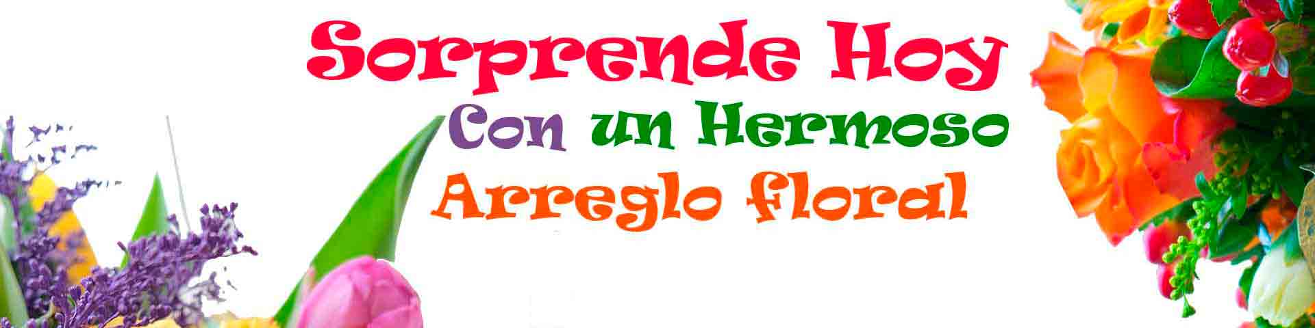 Banners-Principal-1920x480-Floristerias-en-Cali-2026