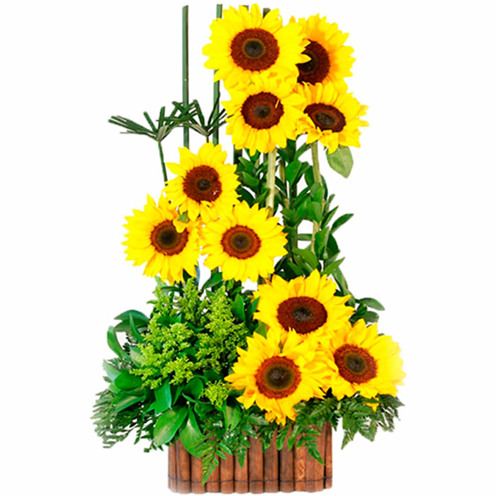 Arrglo-floral-Girasoles_Flores Cali es Cali