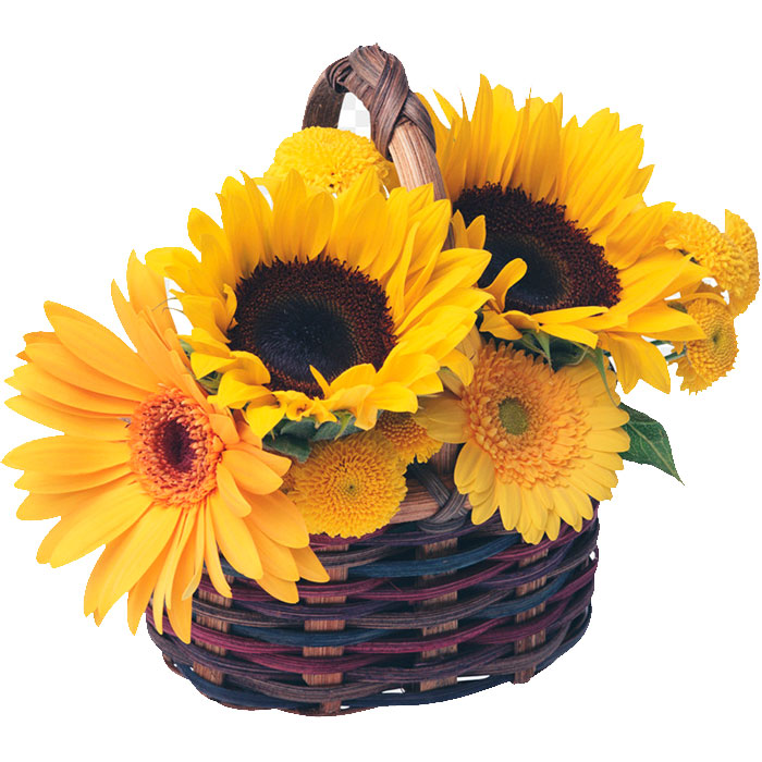 Canasta-Con-Girasoles_Flores Cali es Cali