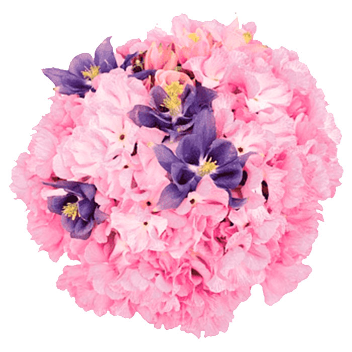Flores-Hortensias-ramo_Flores Cali es Cali
