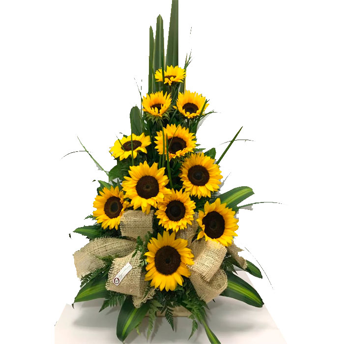 Girasoles-Para-El_Flores Cali es Cali