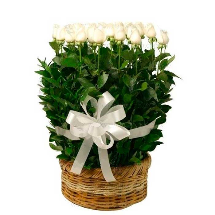 flores para condolencias a domicilio en Cali