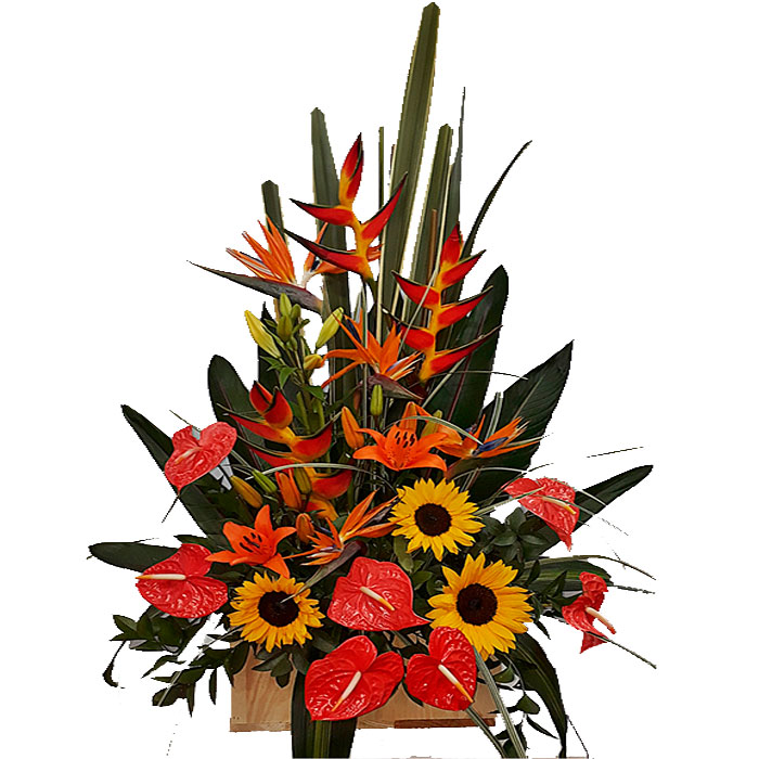 flores-Que-Enamoran_Flores Cali es Cali