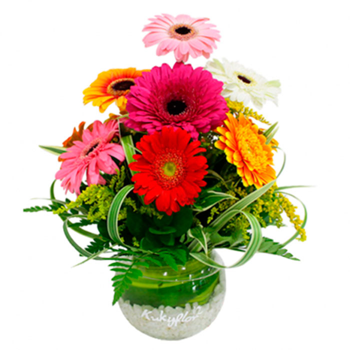 gerberas-Florero-Surtido_Flores cali es cali
