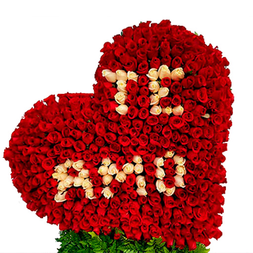 flores para enamorar en Cali