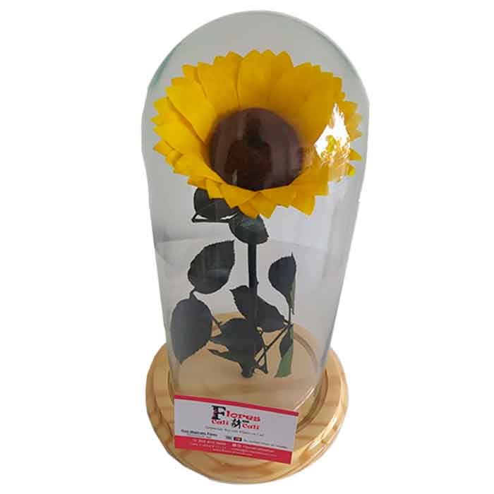 Girasol-Inmortalizado-Cali_Floristerias-En-Cali