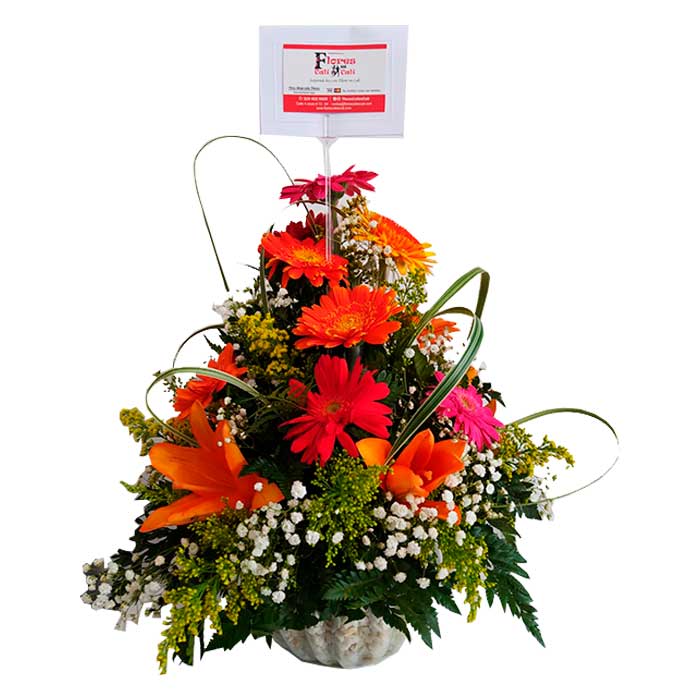 Pecera Con Gerberas-Floristerias-en-Cali