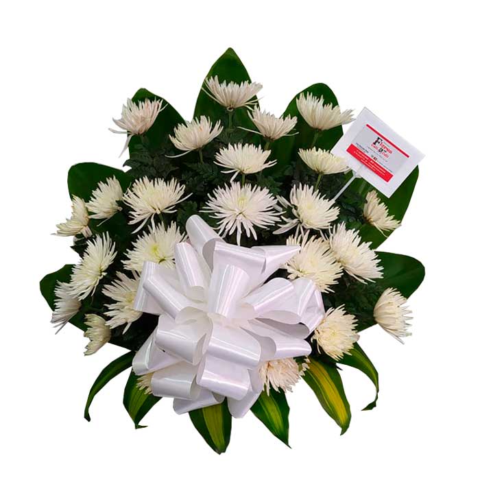 Ramo-Funebre-Abanico-con-Crisantemos-Floristerias-en-cali