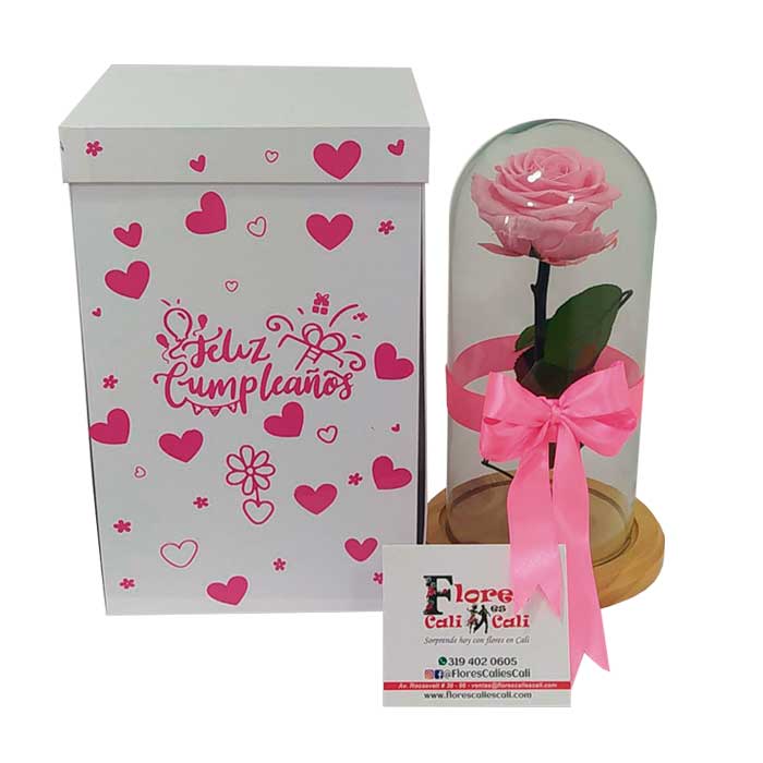 Rosa-Inmortalizada-Rosada---Floristeria-en-Cali