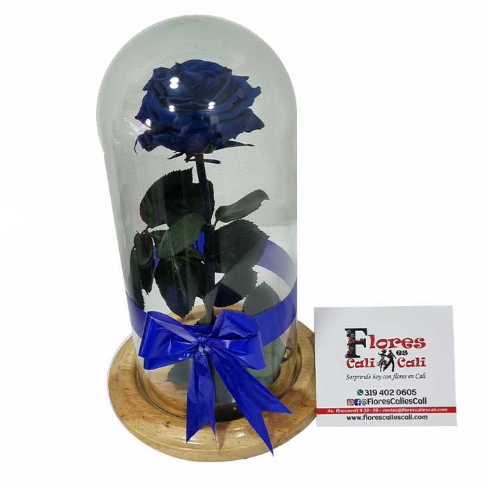 Rosa-Preservada-Azul-Floristeria-en-cali
