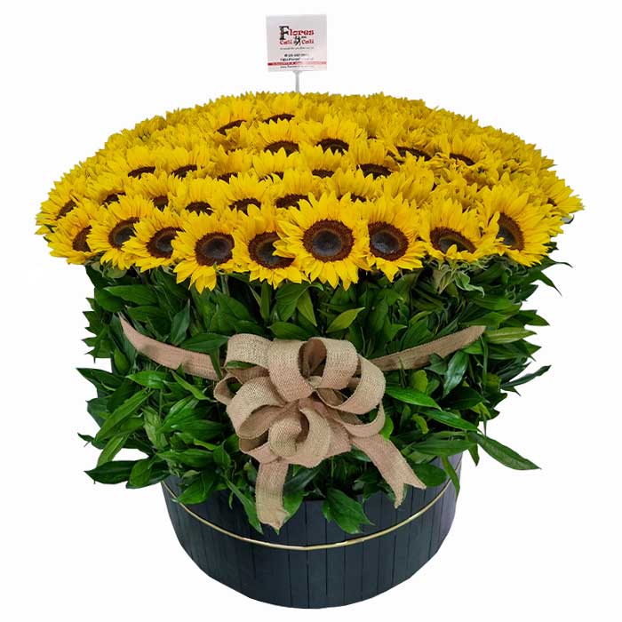 ramo-de-girasoles-gigante-floristeria-en-cali