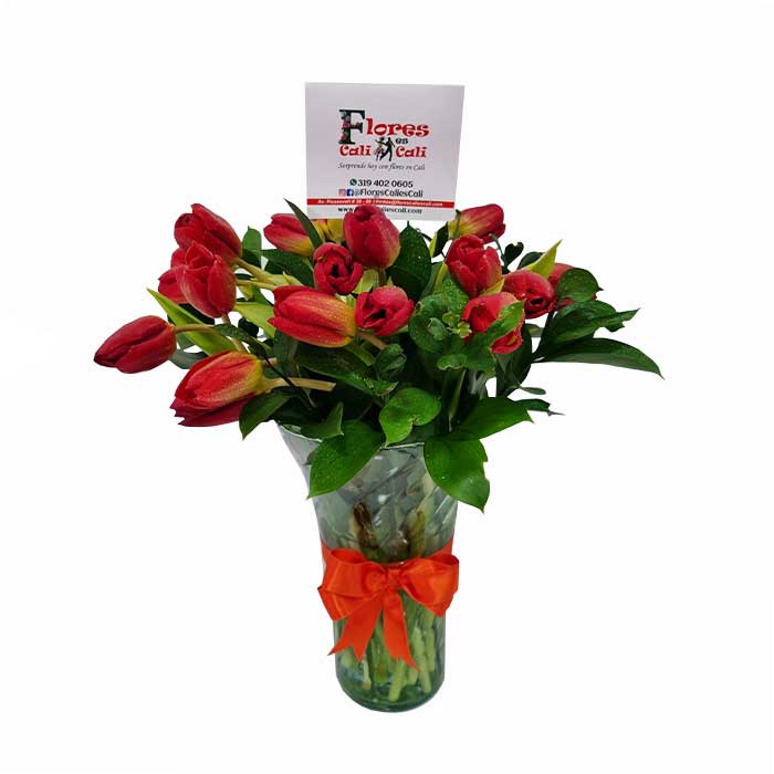 tulipanes--regalo-Floristeria-en-cali