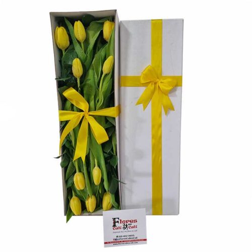 tulipanes-amarillos-Floristeria-en-Cali