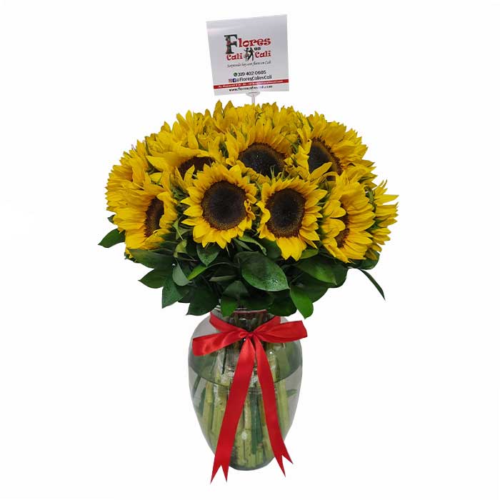 Jarrón-con-Quince-Girasoles-Floristeria-en-cali