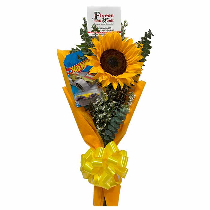 Ramo Pequeño de Hot Wheels en Cali