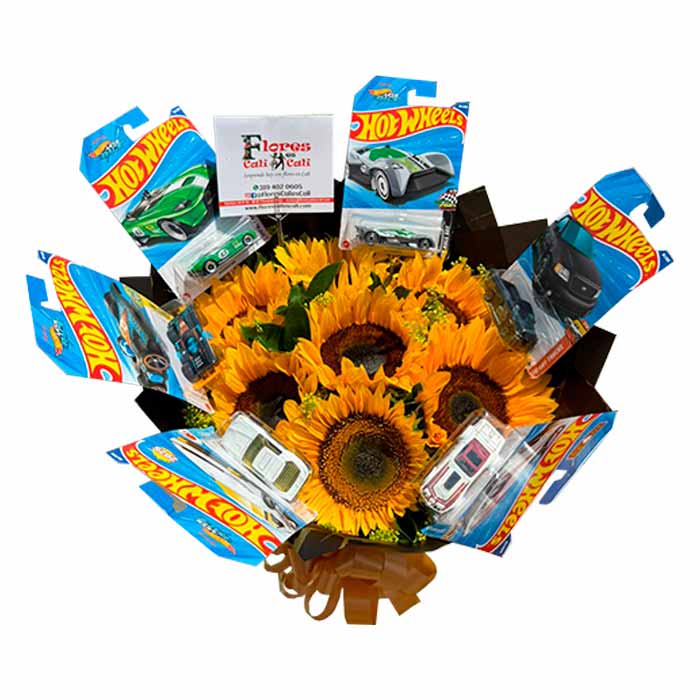 Carros Hot Wheels Regalo para Hombre en Cali