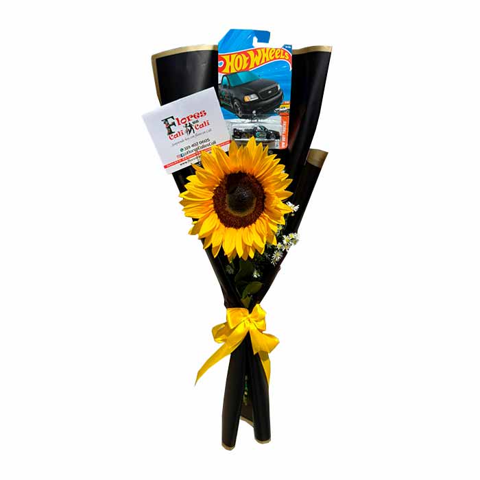 Carros Hot Wheels Precio en Cali