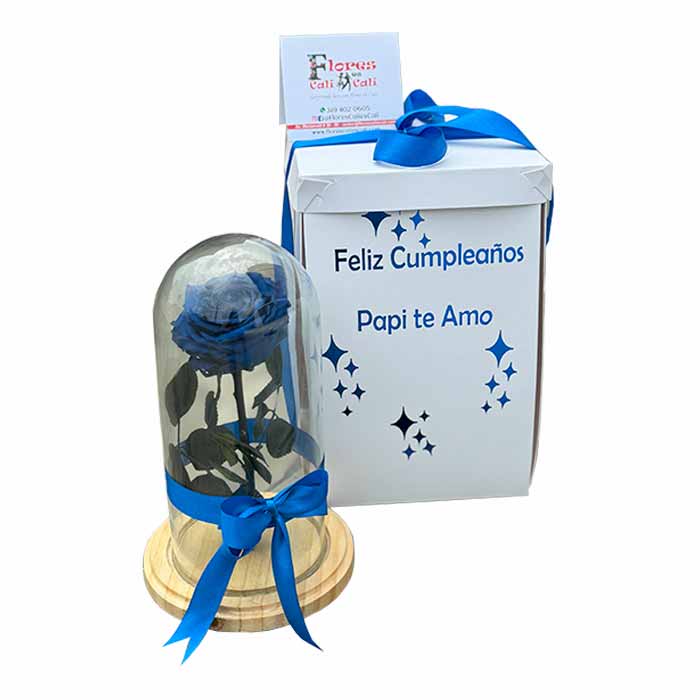 Rosas Eternas Para Hombre en Cali