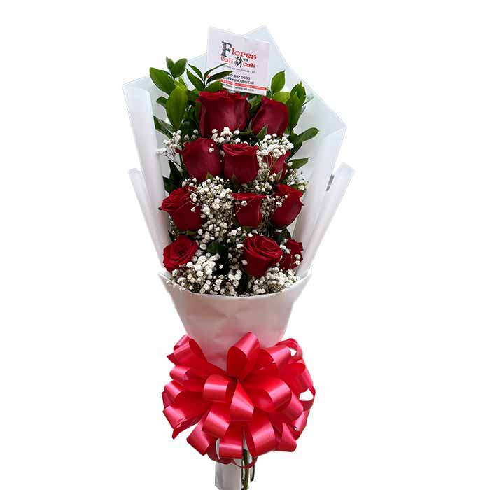 Ramo-de-12-Rosas-Rojas-en-Cali a domicilio