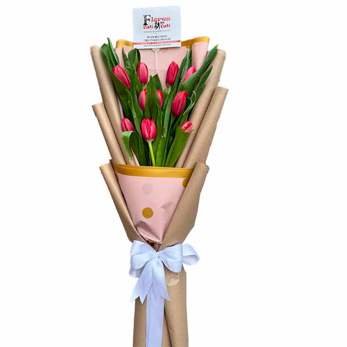 Tulipanes-Fucsias-en-Cali