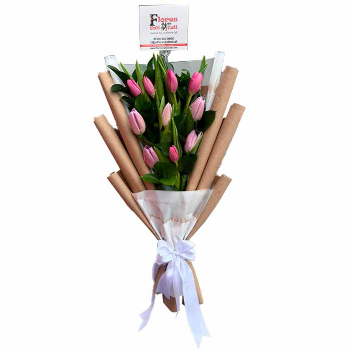 Tulipanes-Fucsias-y-Rosados-en-Cali