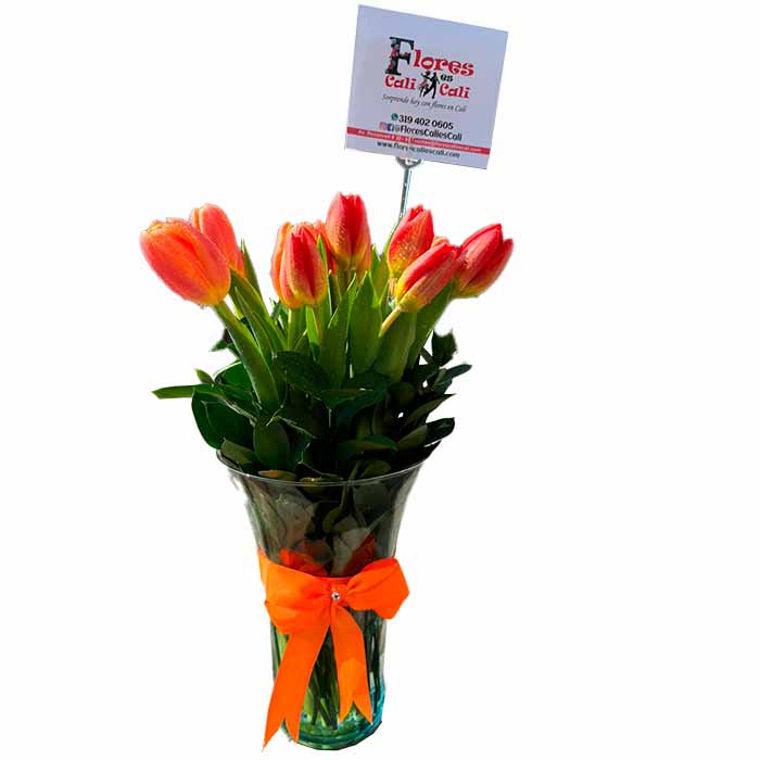 Tulipanes-Naranjas-en-Cali