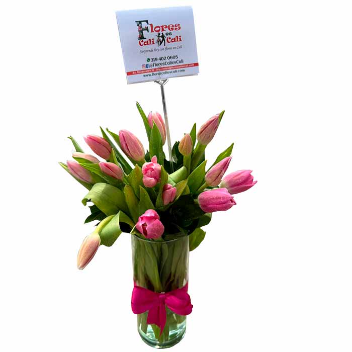 Tulipanes-Rosados-en-Cali