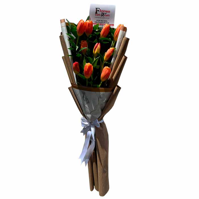 Tulipanes-Salmon-en-Cali