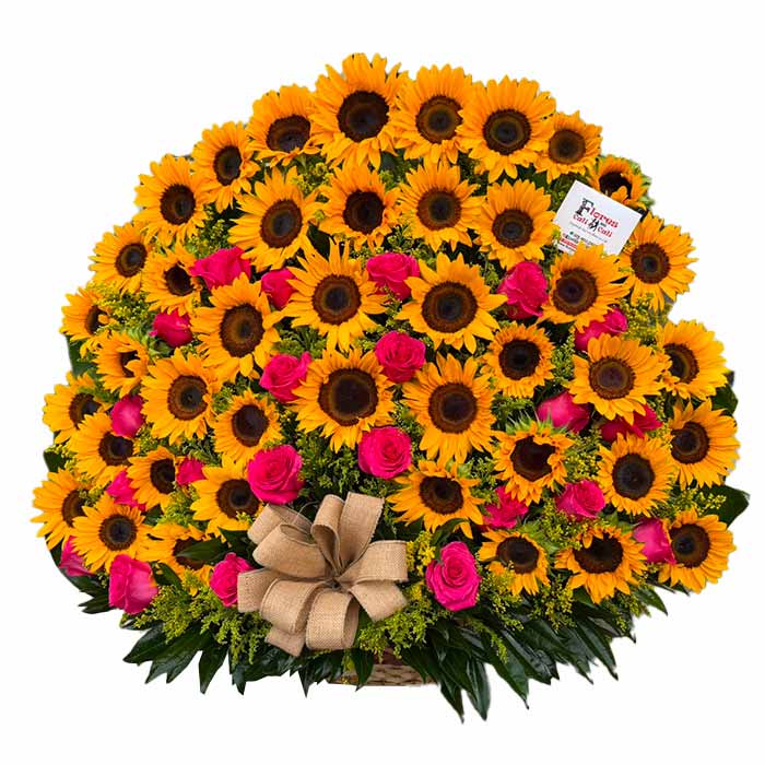 Ramo-Girasoles-y-Rosa-Fucsia-flores-en-Cali